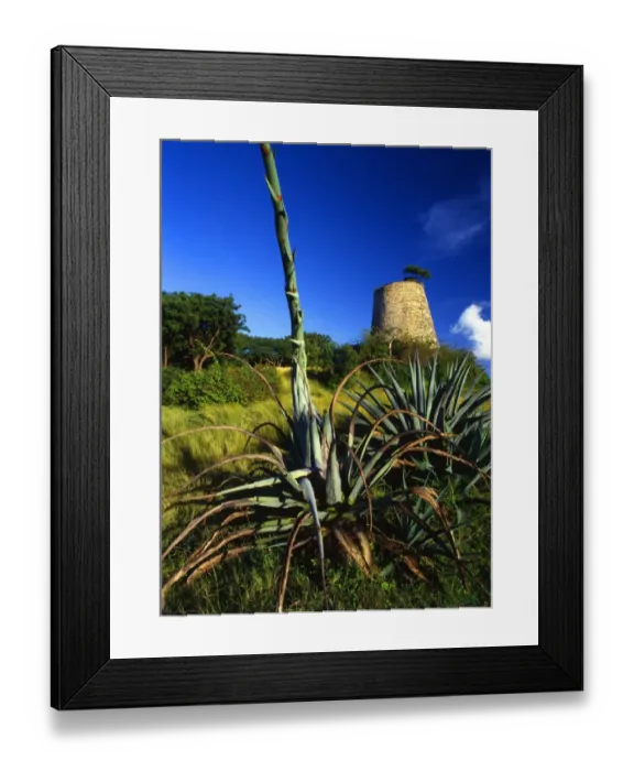 Framed Print : Old sugar mill on the island of Antigua [West Indies]