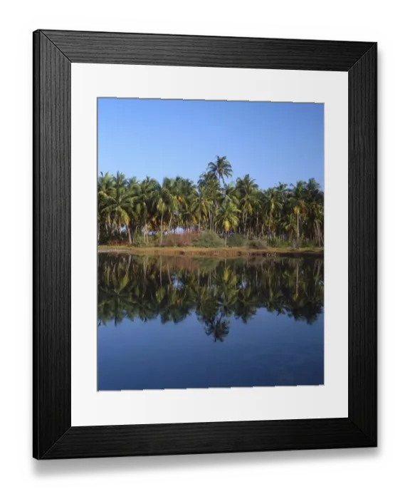 Framed Print : TROPICAL ISLANDS Laccadives. Bangaram island, salt water lake. The Laccadive group Framed Print : TROPICAL ISLANDS Laccadives. Bangaram island, salt water lake. The Laccadive group
