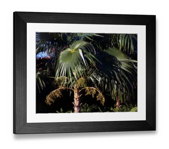 Framed Print : tropical island Framed Print : tropical island