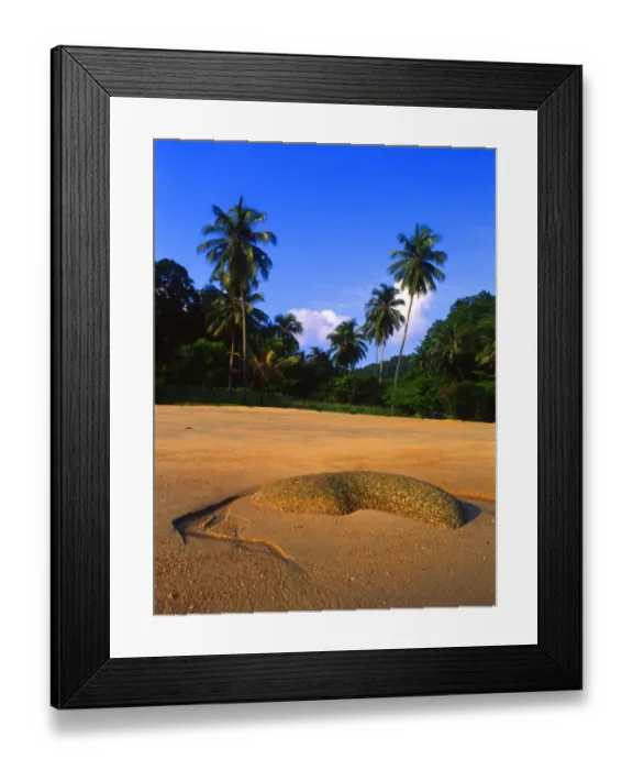 Framed Print : Malaysia. Penang Framed Print : Malaysia. Penang