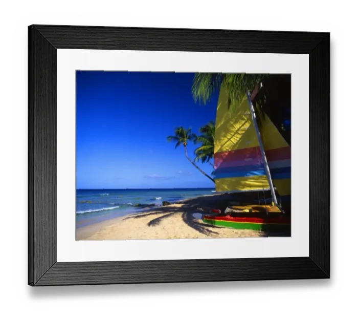 Framed Print : Sails and palms on Galley Bay beach, Antigua Framed Print : Sails and palms on Galley Bay beach, Antigua