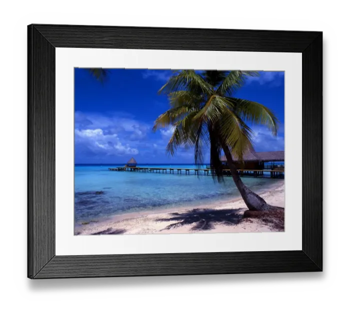 Framed Print : Tropical beauty. Polynesia. Rangiroa