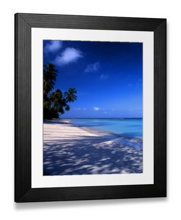 Framed Print : Tropical beauty. West Indies. Tobego Framed Print : Tropical beauty. West Indies. Tobego