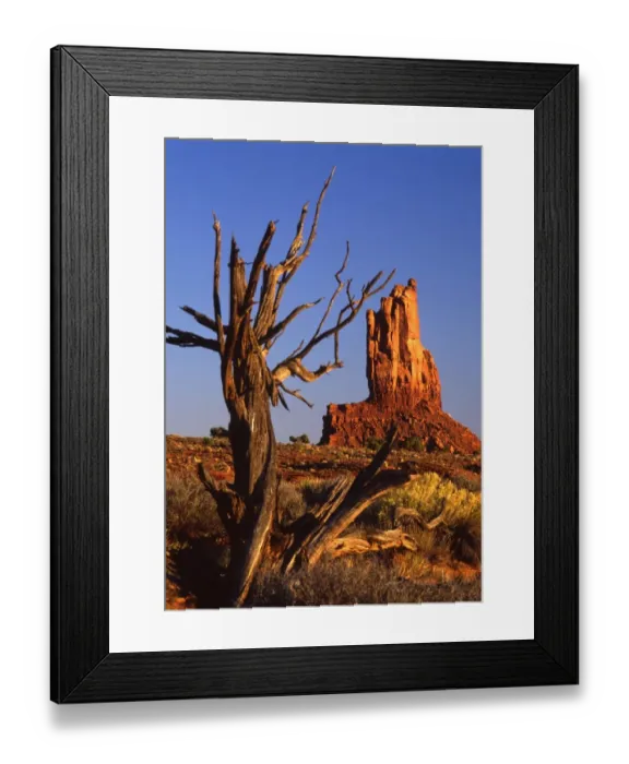 Framed Print : USA - Monument Valley - Utah, Arizona?TopFoto  /  CW