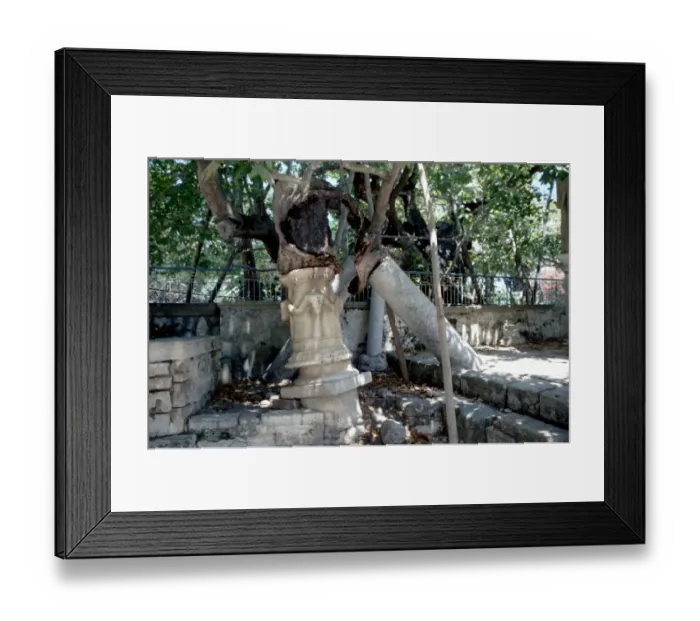 Framed Print : Greek Mythology Hippocrates The healing tree of Hippocrates at Cos on the Island of Cos
