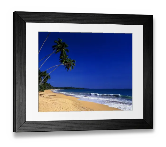 Framed Print : Tropical beauty. Sri Lanka. Welligama Beach