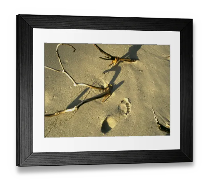 Framed Print : Footprint in the sand on a desert island, such as was seen by Robinson Crusoe Framed Print : Footprint in the sand on a desert island, such as was seen by Robinson Crusoe