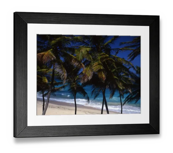 Framed Print : Beach in Barbados, the West Indies Framed Print : Beach in Barbados, the West Indies