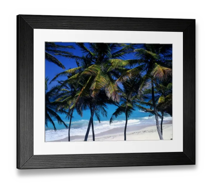 Framed Print : West Indies Barbados