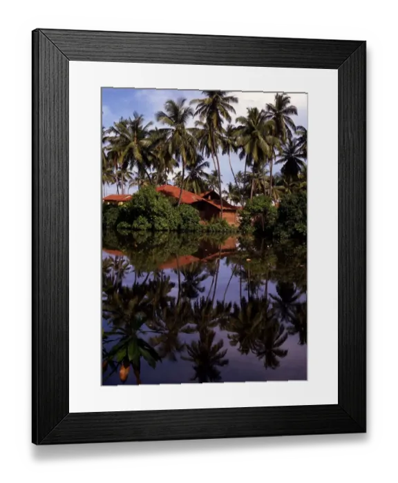 Framed Print : Sri Lanka Negombo Framed Print : Sri Lanka Negombo
