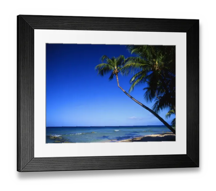 Framed Print : Beach on Barbados, West Indies Framed Print : Beach on Barbados, West Indies