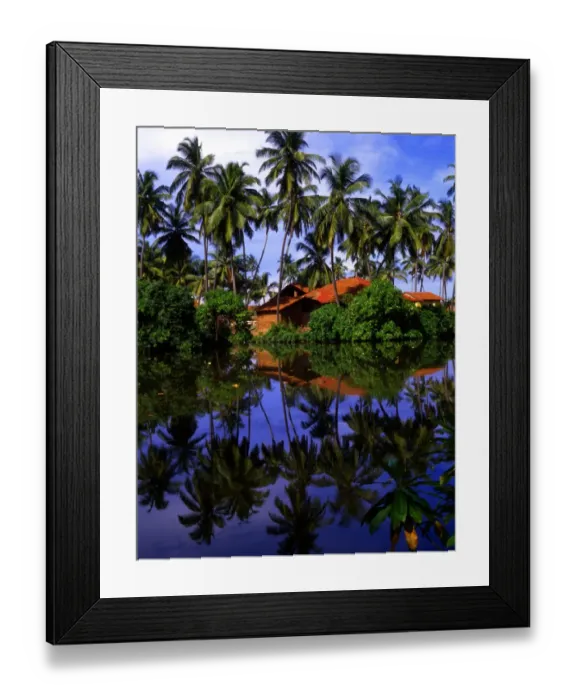 Framed Print : T4. 07 Sri Lanka. Nogombo Framed Print : T4. 07 Sri Lanka. Nogombo