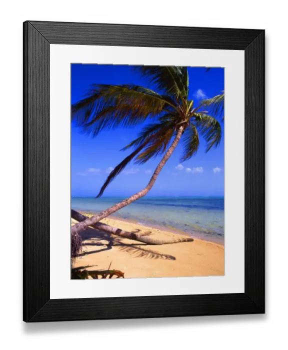 Framed Print : Tropical Islands: West Indies. Tobago. [5]