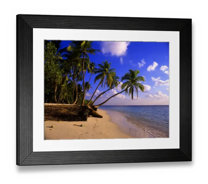 Framed Print : Tropical beauty. Maldives. Little Bandos island
