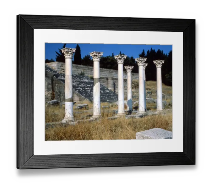 Framed Print : Medical. The first Greek hospital was built on the Island of Cos. detail of Framed Print : Medical. The first Greek hospital was built on the Island of Cos. detail of