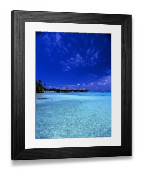 Framed Print : Tropical beauty. Polynesia. Rangiroa