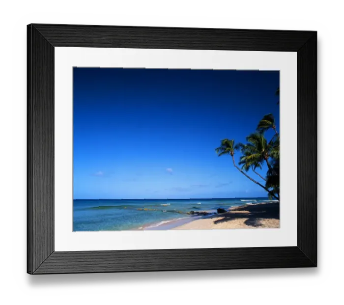 Framed Print : Tropical beauty. West Indies. Tobego Framed Print : Tropical beauty. West Indies. Tobego