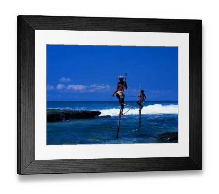 Framed Print : Stilt Fishermen on Welligama Beach Sri Lanka Framed Print : Stilt Fishermen on Welligama Beach Sri Lanka