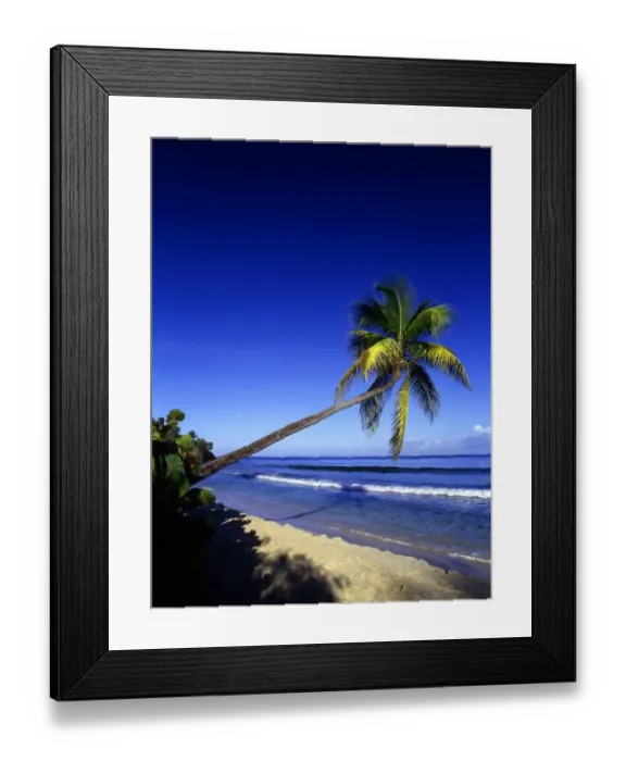 Framed Print : Tropical beauty. West Indies. Antigua. Galley Bay Framed Print : Tropical beauty. West Indies. Antigua. Galley Bay