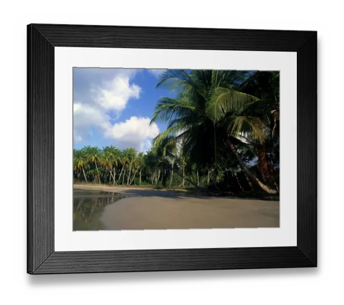 Framed Print : West Indies Grenada La Sagesse