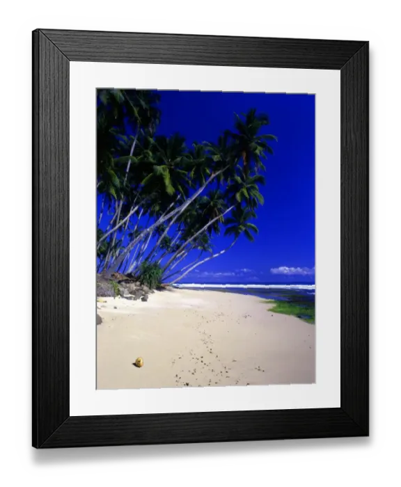 Framed Print : T4. 17 Sri Lanka. Welligama beach Framed Print : T4. 17 Sri Lanka. Welligama beach