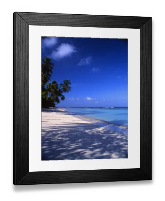 Framed Print : Beach on the island of Tobago, in the West Indies