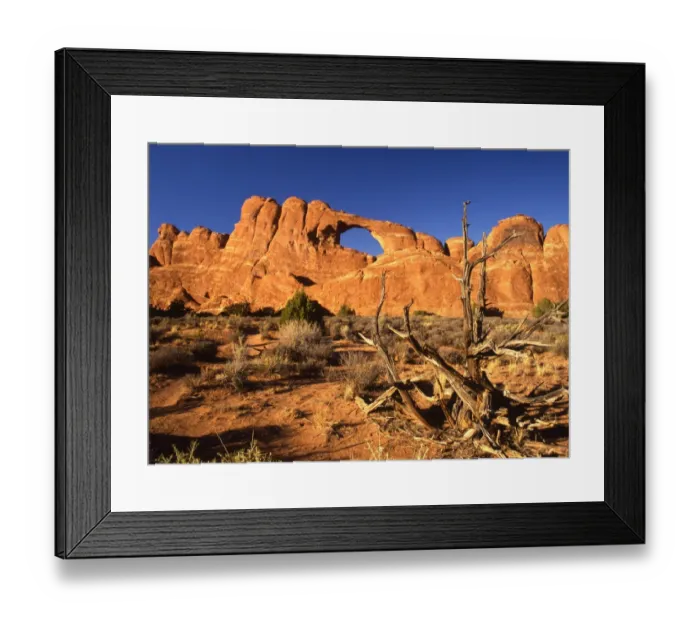 Framed Print : USA - Arches in National Park, Utah, Arizona - ?TopFoto  /  CW