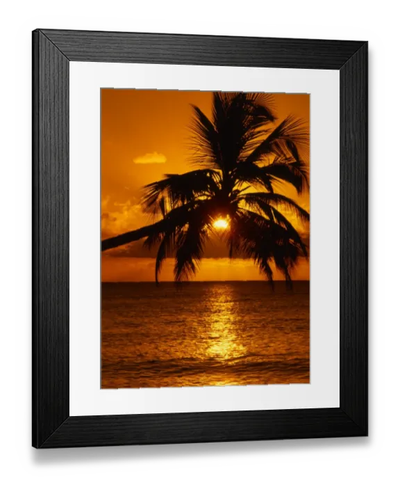 Framed Print : Sunset through palm trees Framed Print : Sunset through palm trees