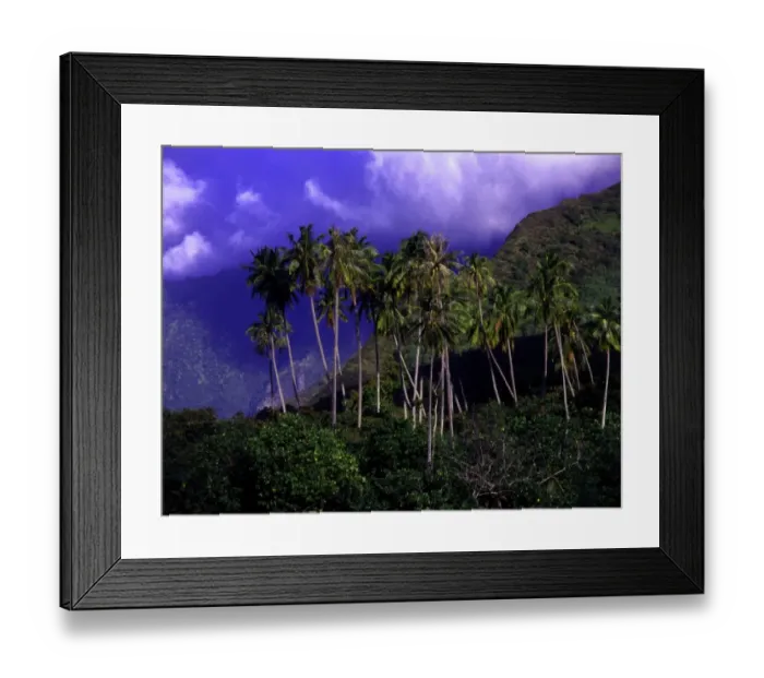 Framed Print : T4. 19. Tahiti group. Morea Framed Print : T4. 19. Tahiti group. Morea