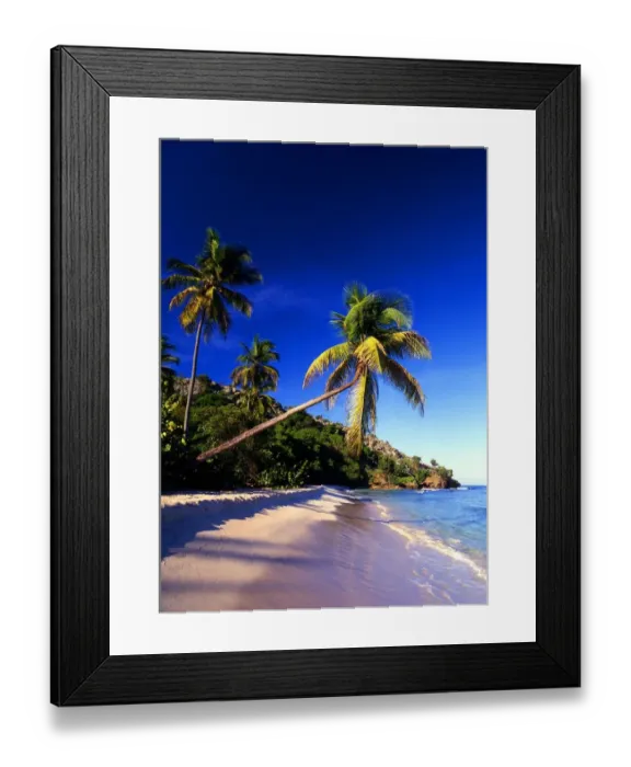 Framed Print : Tropical beauty West Indies. Antigua. Galley Bay