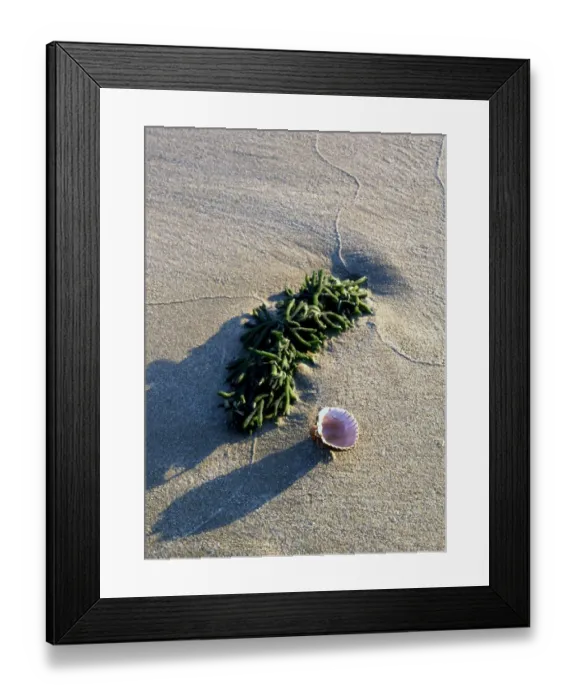 Framed Print : tropical island