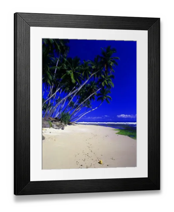 Framed Print : Sri Lanka Weligama Beach Weligama is a famous beach resort in the south of Sri Lanka Framed Print : Sri Lanka Weligama Beach Weligama is a famous beach resort in the south of Sri Lanka