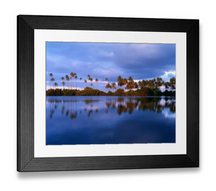 Framed Print : Sri Lanka Koskoda Framed Print : Sri Lanka Koskoda