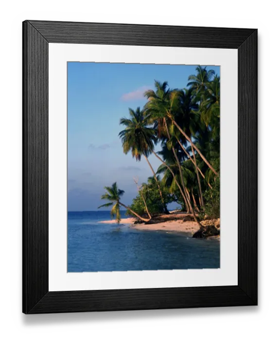 Framed Print : Polynesia Tahiti Moorea Island Framed Print : Polynesia Tahiti Moorea Island