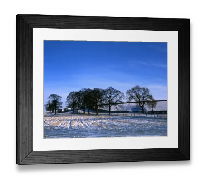 Framed Print : 150. Winter Scene Framed Print : 150. Winter Scene
