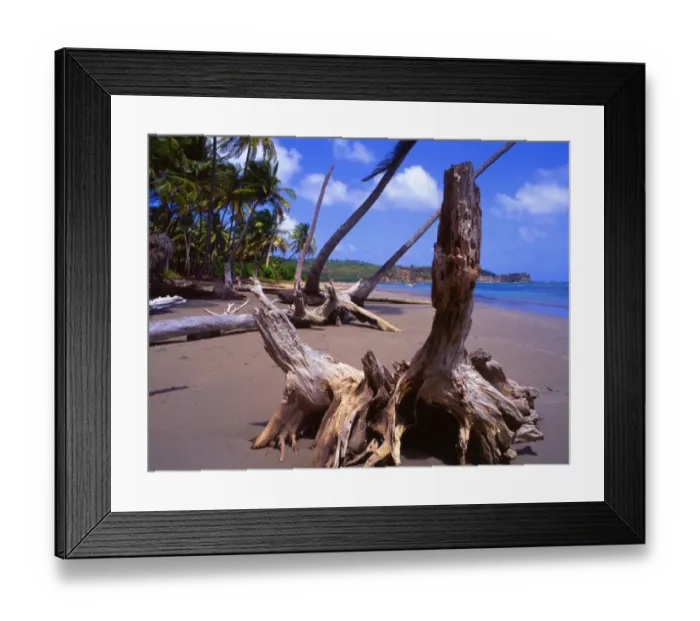 Framed Print : Beach on Grenada in the West Indies