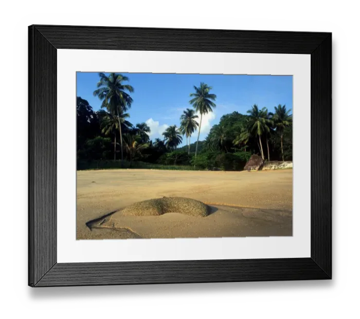 Framed Print : TROPICAL ISLANDS Beach on Penang island, Malaysia Framed Print : TROPICAL ISLANDS Beach on Penang island, Malaysia