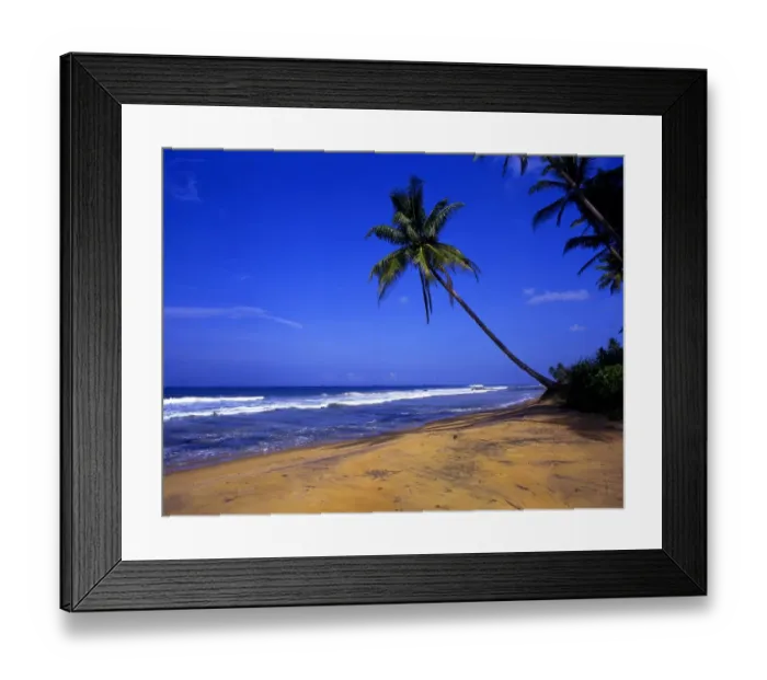 Framed Print : Tropical beauty. Sri Lanka. Beach to the north of Galle Framed Print : Tropical beauty. Sri Lanka. Beach to the north of Galle