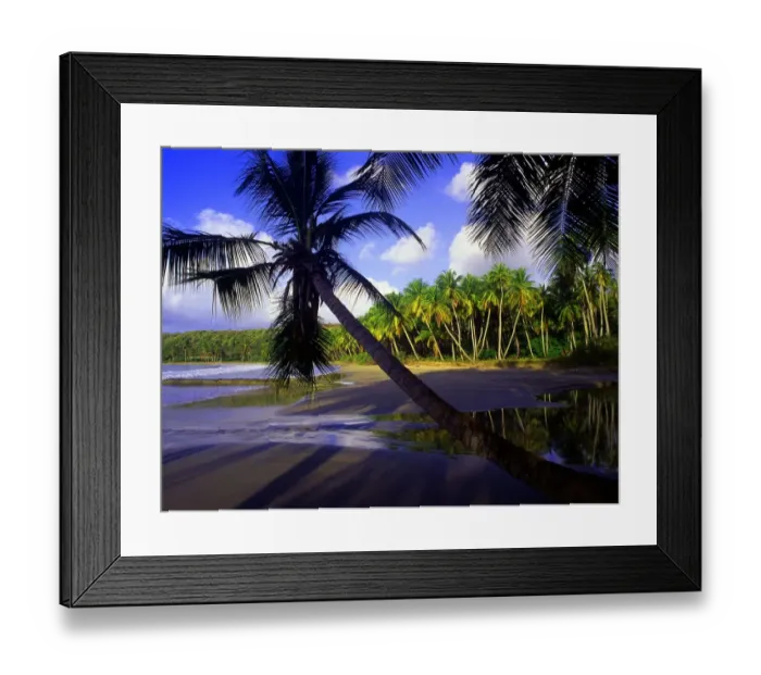 Framed Print : Tropical beauty. West Indies. Grenada. La Sagesse