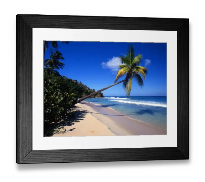 Framed Print : Tropical beauty. West Indies. Antigua Framed Print : Tropical beauty. West Indies. Antigua