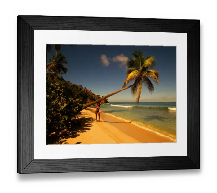 Framed Print : T4. 05. Antigua. Girl standing beneath palm tree Framed Print : T4. 05. Antigua. Girl standing beneath palm tree