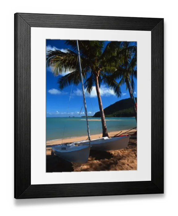 Framed Print : Tropical beauty. Australia. Brampton Island. Great Barrier Reef