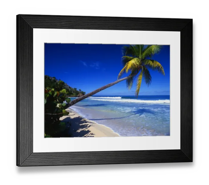 Framed Print : West Indies. Antigua. Beach scene, with palm tree. This is number three of a series Framed Print : West Indies. Antigua. Beach scene, with palm tree. This is number three of a series