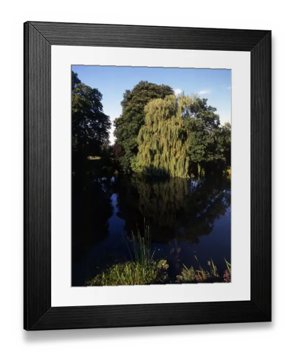 Framed Print : 173 Thames at Sonning. England Framed Print : 173 Thames at Sonning. England