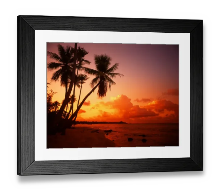 Framed Print : Tropical beauty. Polynesia. Rangiroa Framed Print : Tropical beauty. Polynesia. Rangiroa