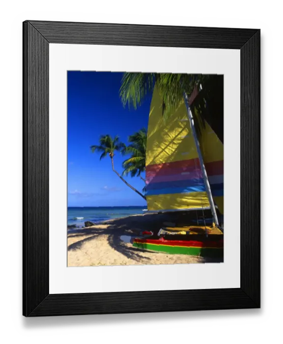 Framed Print : Beach scene, with sails and palms, Antigua, West Indies Framed Print : Beach scene, with sails and palms, Antigua, West Indies