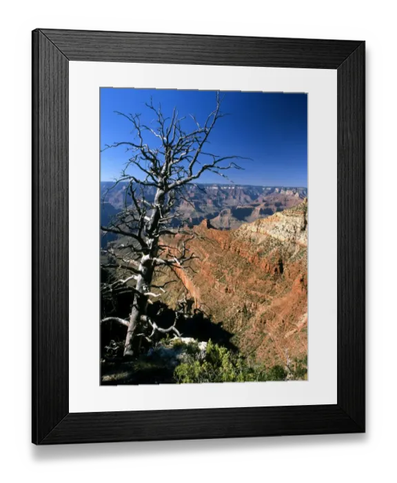 Framed Print : USA - Arizona - Grand Canyon - ?TopFoto / CW Framed Print : USA - Arizona - Grand Canyon - ?TopFoto / CW