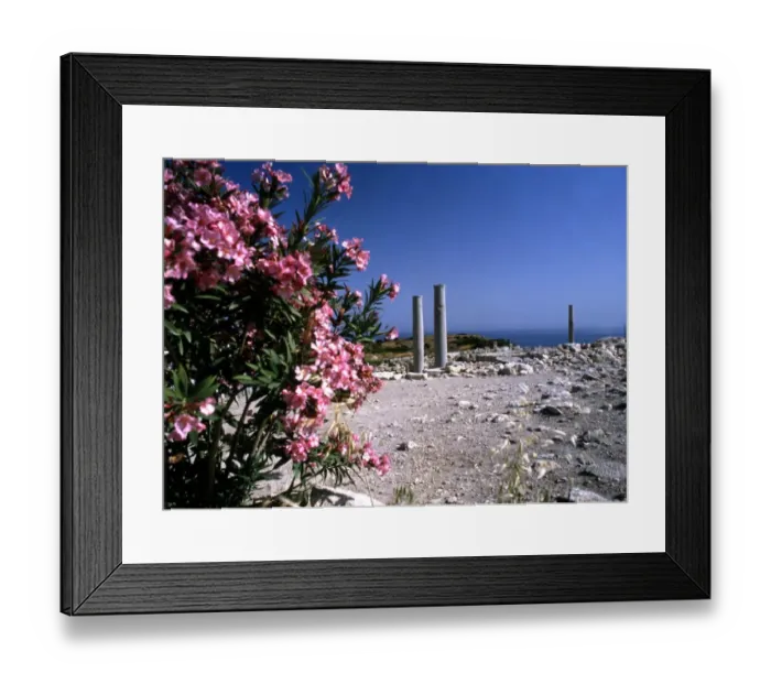Framed Print : Cyprus. Curium. Roman remains