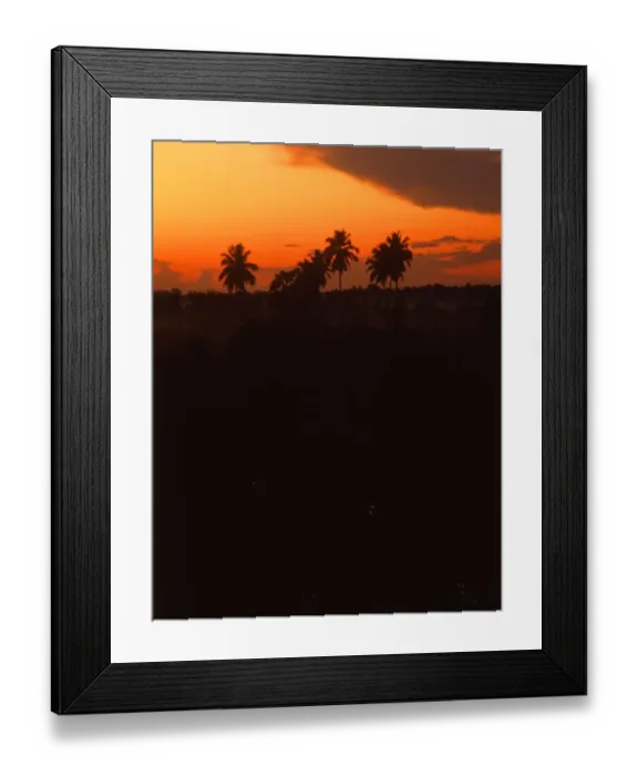 Framed Print : Dawn over rice fields, Sri Lanka Framed Print : Dawn over rice fields, Sri Lanka