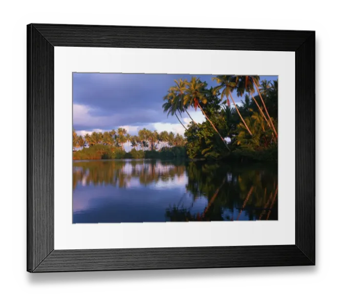 Framed Print : Sri Lanka Koskoda Framed Print : Sri Lanka Koskoda